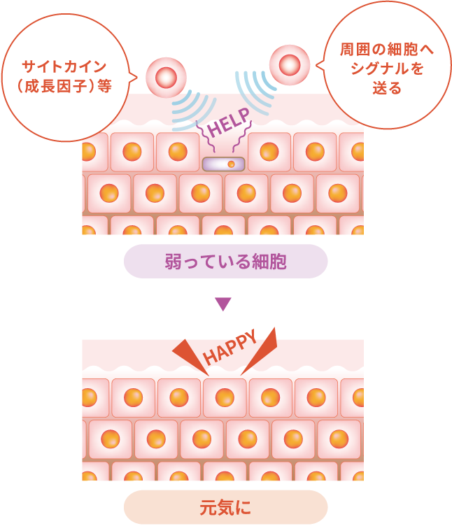 Ainprose®に期待される効果